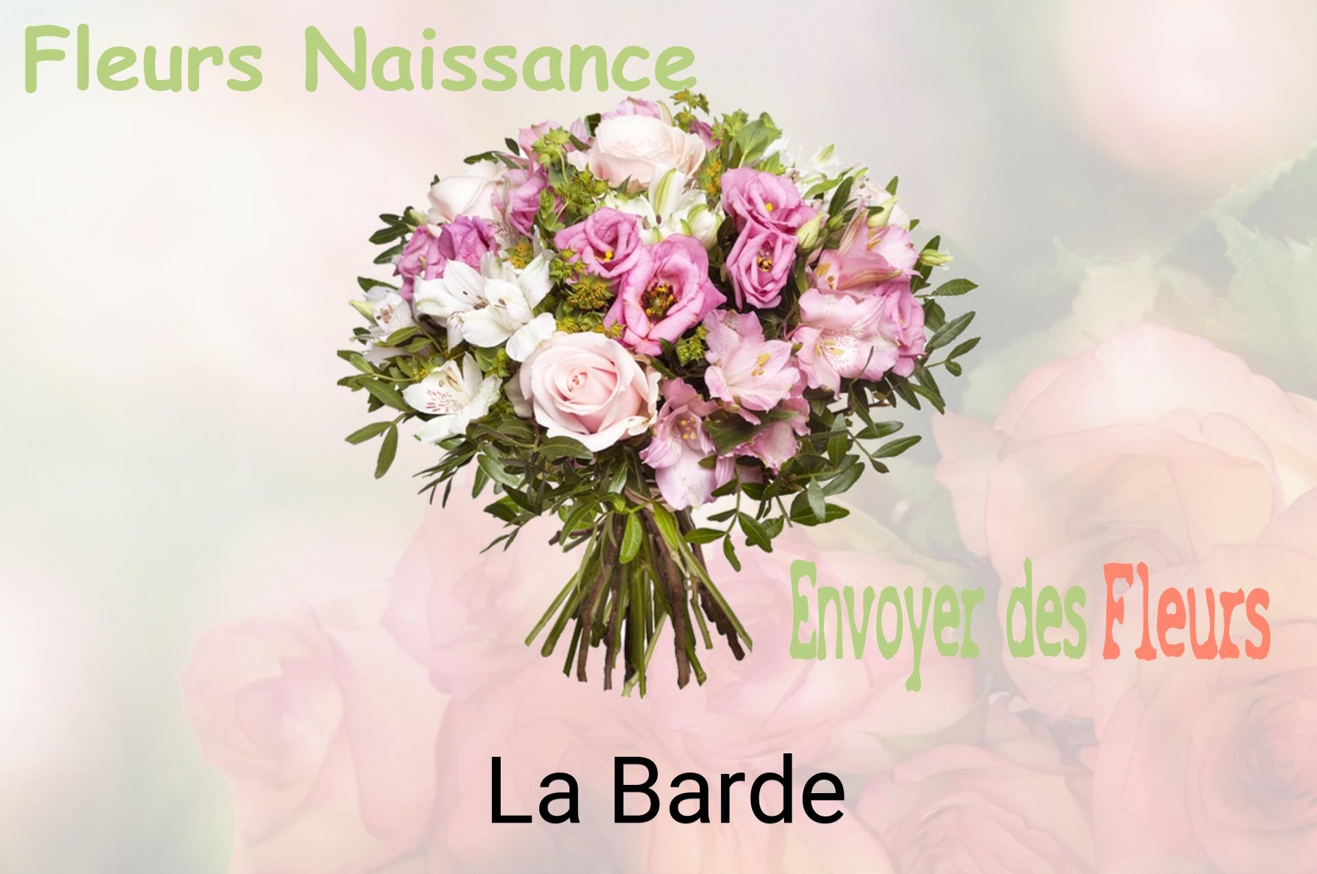 Bouquet de fleurs de naissance livré à La Barde